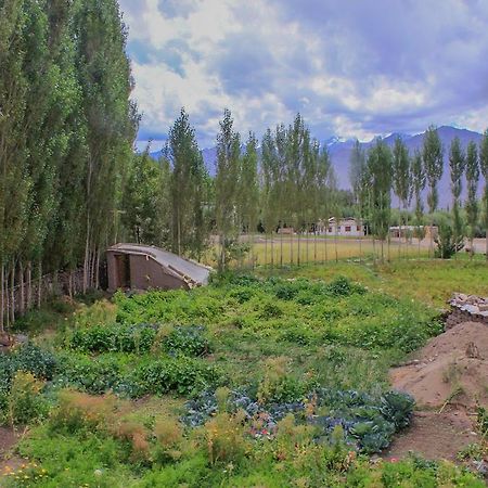 Tsetan Guest House Лех Экстерьер фото
